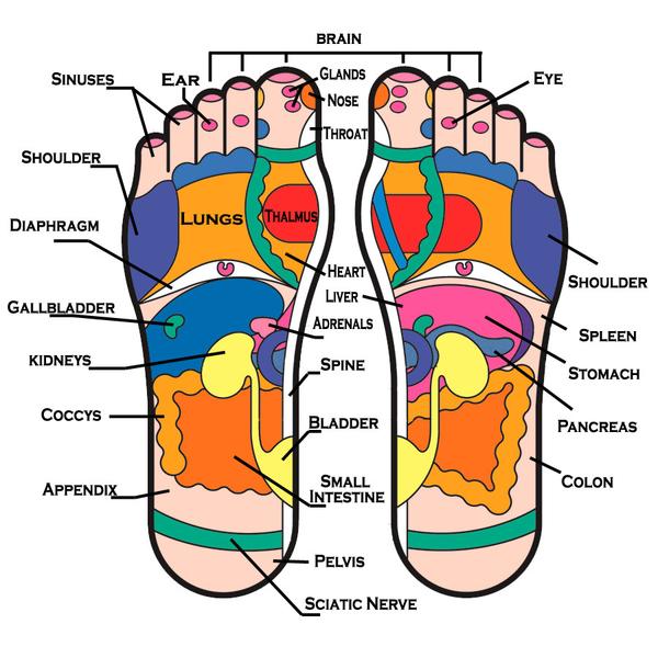 Reflexology stimulate healing balance