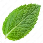 Massage Spa in nearby